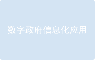 數字政府